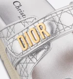 Dior Or Dioract Slide - Image 2